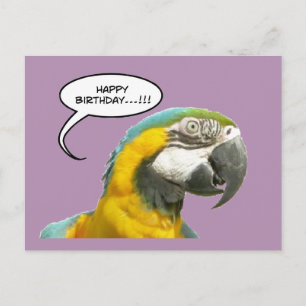 ユーモアたっぷりのおしゃべりインコの誕生日ポストカード ポストカード