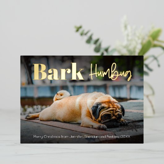 ユーモアたっぷりのハンバーグ犬カスタム写真 箔シーズンカード (立ち正面)