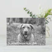 ユーモアたっぷりのペット・エンゲージメント発表 招待状 (スタンド正面)