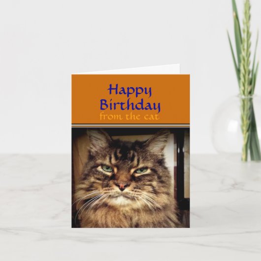 ユーモアたっぷりの猫の笑顔の誕生日カード カード (正面)