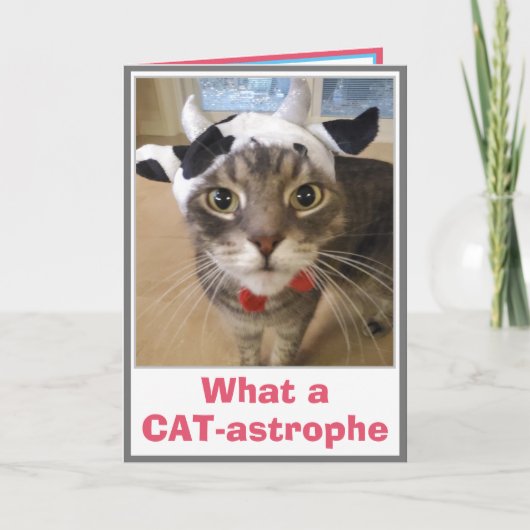 ユーモアたっぷりの遅れた誕生日 カード (正面)