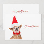 ユーモアたっぷり | 面白いチワワ | ユニーク & 珍しい シーズンカード (正面/裏面)