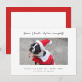 ユーモアとキュートさを兼ね備えたナughty Dog ホリデーカード (正面/裏面)