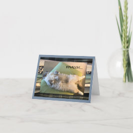 ユーモアのあるおもしろいと間抜け カード