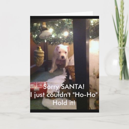 ユーモアのあるなクリスマスカード! シーズンカード (正面)