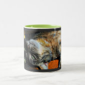 ユーモアのあるな猫のコーヒー・マグ ツートーンマグカップ (中央)