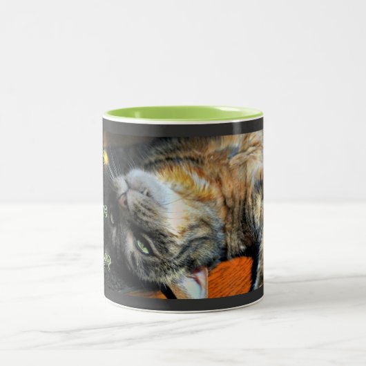 ユーモアのあるな猫のコーヒー・マグ ツートーンマグカップ (中央)