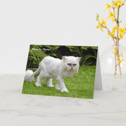 ユーモアのあるな白人のペルシャ語によって剃られる猫のバースデー・カード カード (黄色い花)