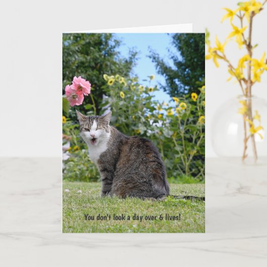 ユーモアのあるな誕生日のための虎猫猫のまばたき カード (黄色い花)