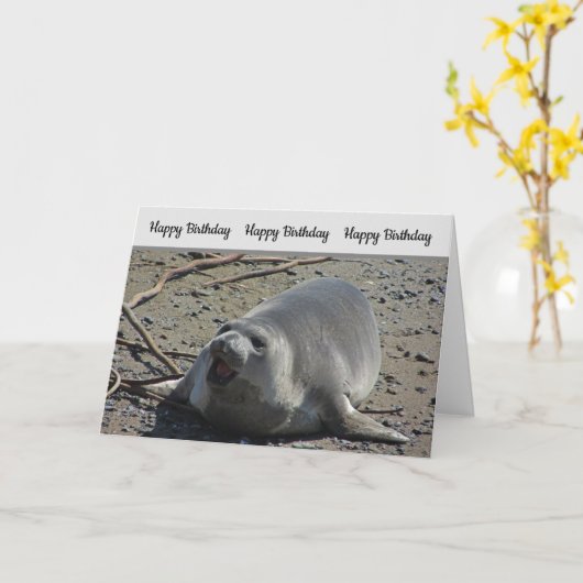 ユーモアのあるな誕生日の太平洋のゾウアザラシの写真 カード (黄色い花)
