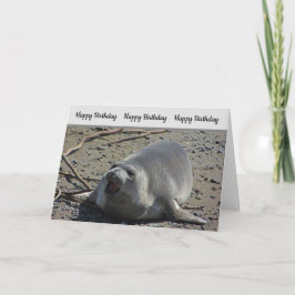 ユーモアのあるな誕生日の太平洋のゾウアザラシの写真 カード