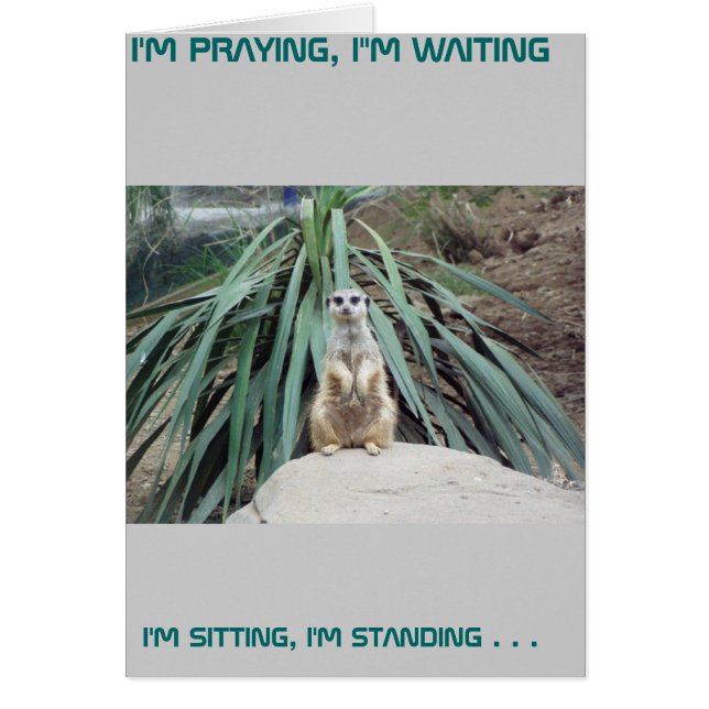 ユーモアのあるなMeerkat -円1 (正面)