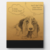 ユーモアのあるベト中国のナム犬の年額プラーク フォトプラーク (正面)