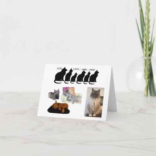 ユーモアのある考え猫 カード (正面)