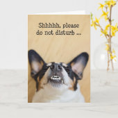 ユーモアのある誕生日カード – ドッグGrinを間抜け着て カード (黄色い花)