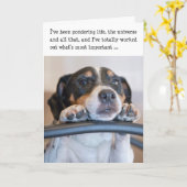 ユーモアのある誕生日カード – 犬の熟考の生活 カード (黄色い花)