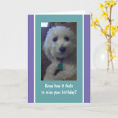 ユーモアのある、おもしろいの遅れた誕生日カード カード (黄色い花)