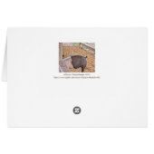 ユーモアのある「お昼を食べよう」と豚の食べ (裏面横)