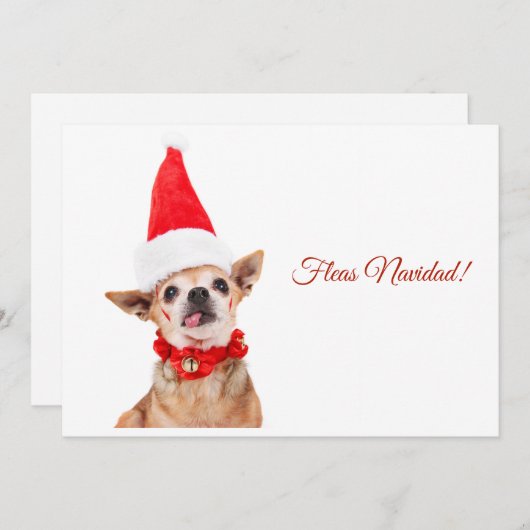 ユーモアのある |チワおもしろいワ |およユニークび異常 シーズンカード (正面/裏面)