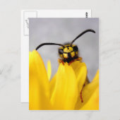 ユーモアのハチのポストカード ポストカード (正面/裏面)