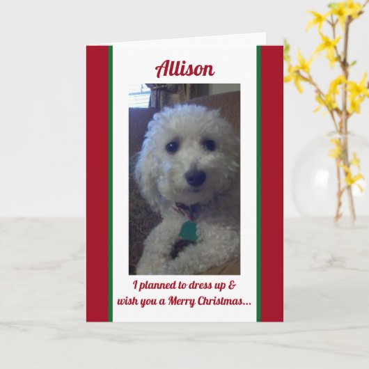 ユーモアパーソナライズされたクリスマスカード カード (黄色い花)