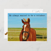 ユーモアホースおもしろいトナカイのクリスマスクリスマス シーズンポストカード (正面/裏面)