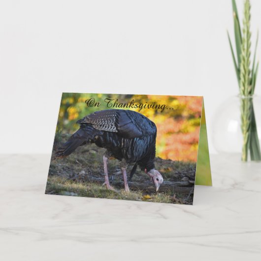 ユーモア溢れる感謝祭 カード (正面)