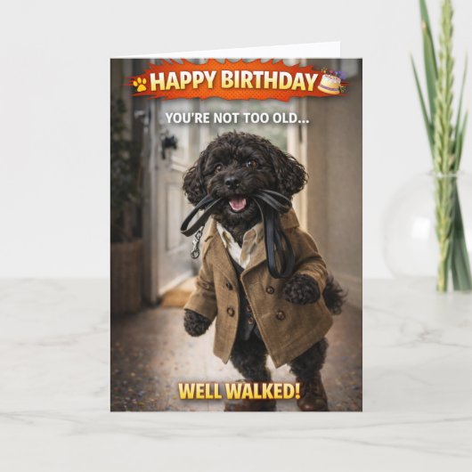 ユーモア溢れる犬の誕生日カード 歩き回ったコカプー カード (正面)