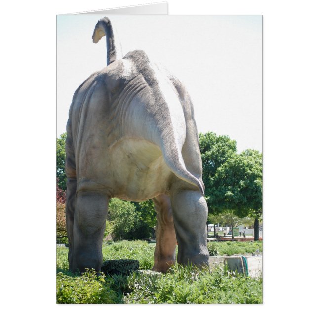 ユーモア/おもしろい (正面)