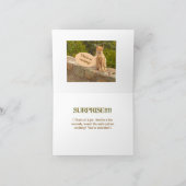 ユーモア/友情/驚き！（驚きはない） カード (内部)