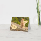 ユーモア/友情/驚き！（驚きはない） カード (正面)