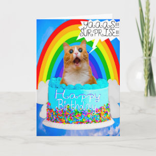 ユーモア 爆笑 猫 サプライズ 誕生日カード シーズンカード