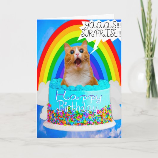 ユーモア 爆笑 猫 サプライズ 誕生日カード シーズンカード (正面)