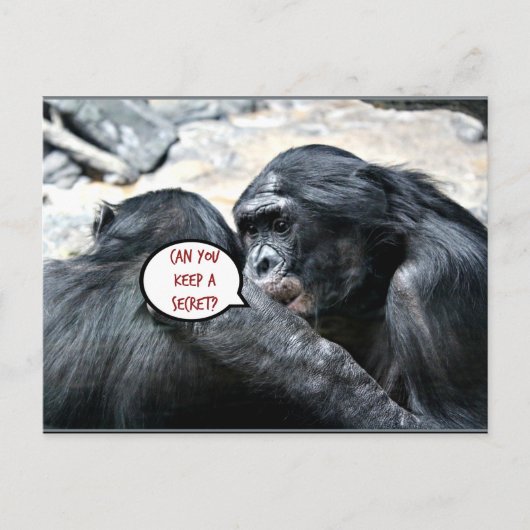 ユーモア – 秘密を保教えてくれる? ポストカード (正面)
