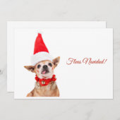 ユーモア | 面白いチワワ | ユニーク & 珍しい シーズンカード (正面/裏面)