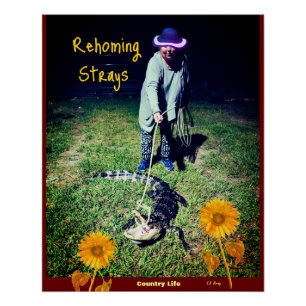 ユーモア – Country Life -- Rehoming Strays ポスター