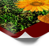 ユーモア – Country Life -- Rehoming Strays ポスター (コーナー)