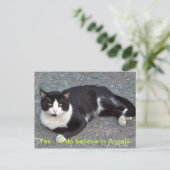 ユーモラスことわざ付き猫はがき ポストカード (スタンド正面)