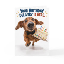 ユーモラスなダックスフントの誕生日カード | 魚眼レンズで撮った犬の面白グッズ