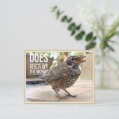 ユーモラスな鳥の写真のグリーティングカード ポストカード (スタンド正面)
