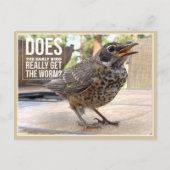 ユーモラスな鳥の写真のグリーティングカード ポストカード (正面)