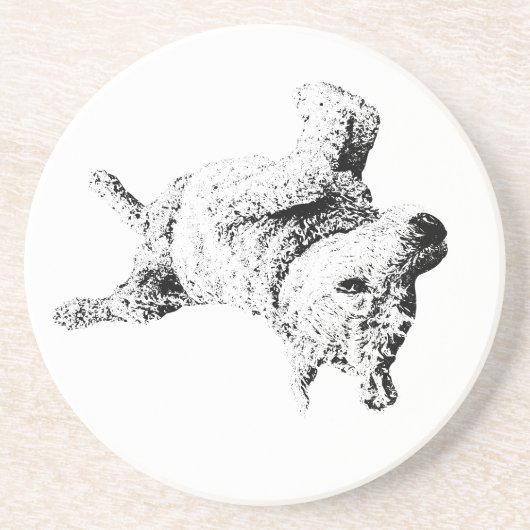 ユーモリラックスーライン コースター (正面)