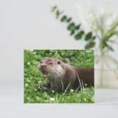 ユーラシよくはしゃぐアのカワウソの精神 ポストカード (スタンド正面)