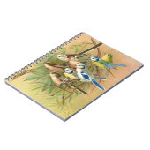 ユーラシアの青い尾と長い尾の付いた尾、鳥 ノートブック (左側)