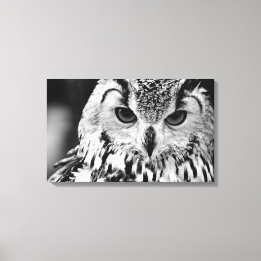 ユーラシアイーグルフクロウのクローズアップポートレート キャンバスプリント (正面)