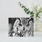 ユーラシアイーグルフクロウのクローズアップポートレート ポストカード (スタンド正面)