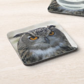 ユーラシアイーグルフクロウ写真 コースター (左側)