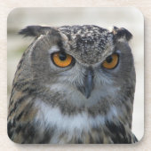 ユーラシアイーグルフクロウ写真 コースター (正面)