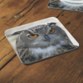ユーラシアイーグルフクロウ写真 コースター