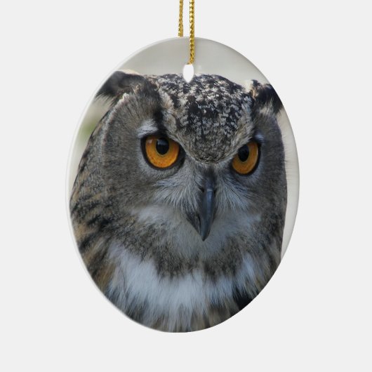 ユーラシアイーグルフクロウ写真 セラミックオーナメント (右)